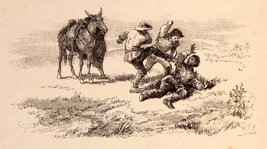 202_026_quijote_cap08