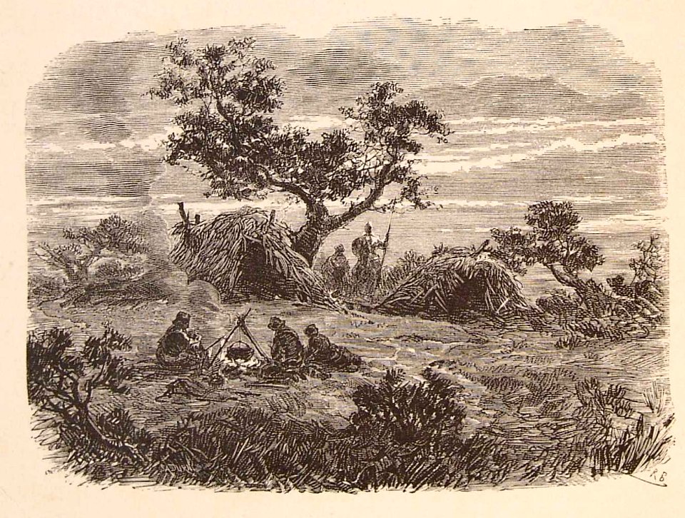 202_031_quijote_cap10