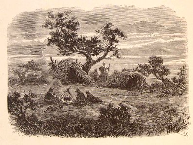 202_031_quijote_cap10