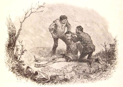 202_033_quijote_cap11