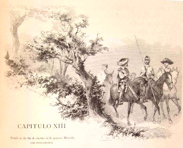 202_036_quijote_cap13