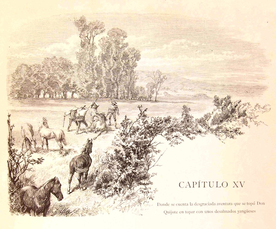 202_041_quijote_cap15