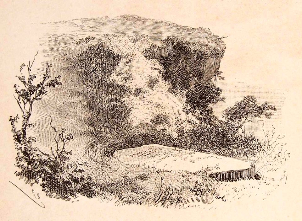 202_039_quijote_cap14