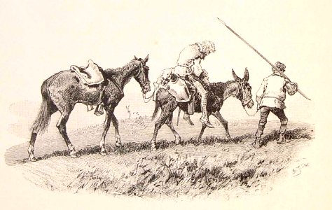 202_042_quijote_cap15