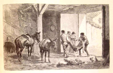 202_043_quijote_cap16