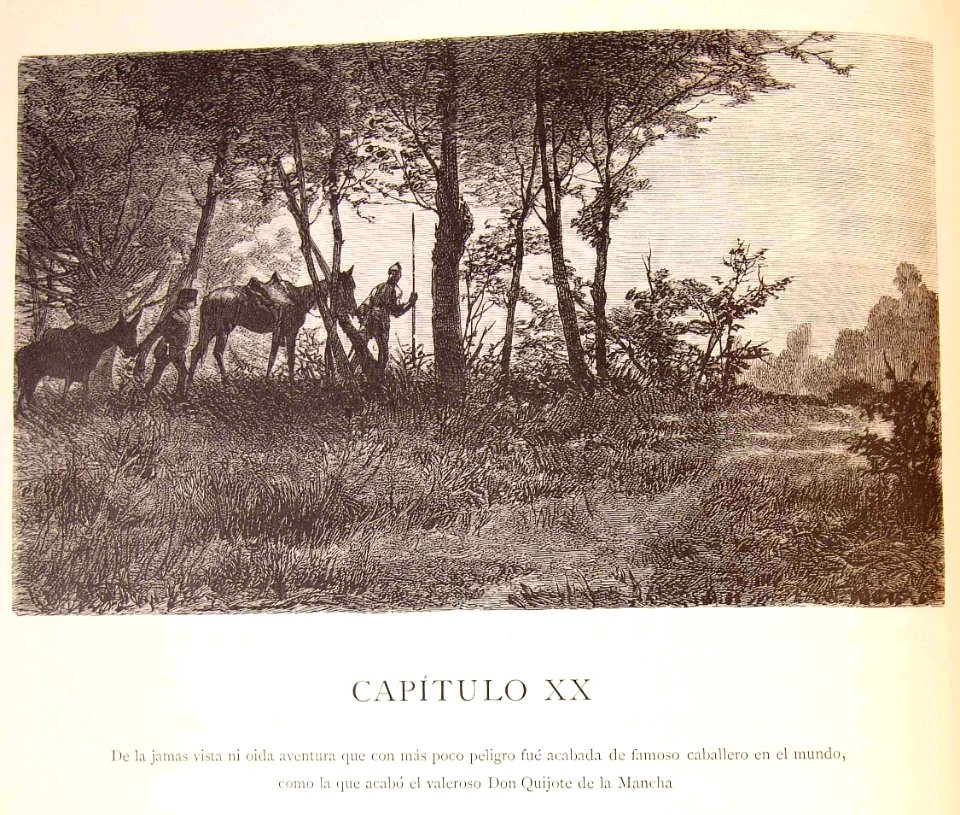 "Cap. XX De la jamas vista ni oída aventura..."