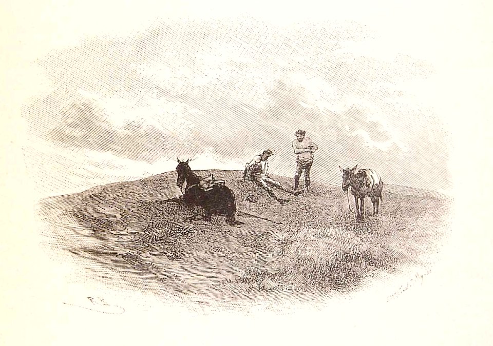 202_059_quijote_cap22
