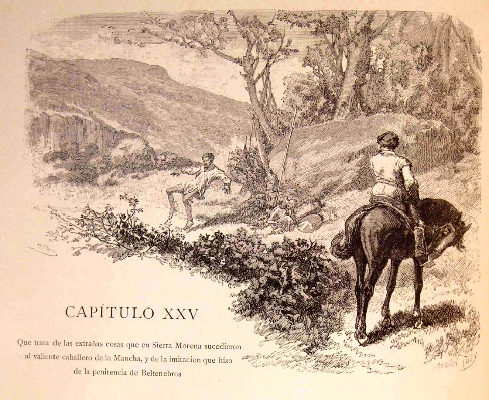 "Cap. XXV. Que trata de las extrañas cosas que en Sierra M…
