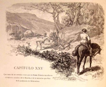 "Cap. XXV. Que trata de las extrañas cosas que en Sierra M…