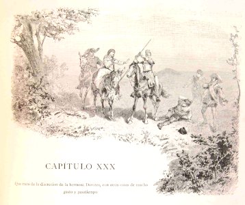 202_077_quijote_cap30