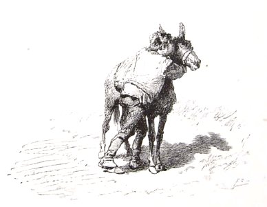 202_079_quijote_cap30