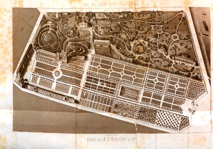 AI123_0074