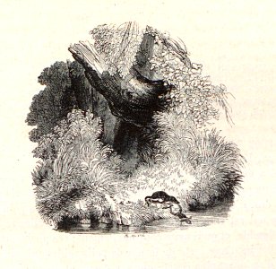 AI123_0252