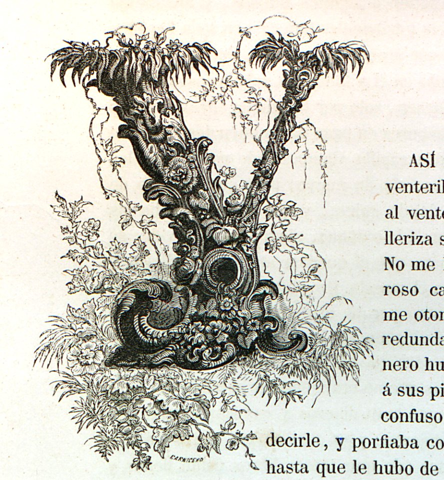 "Letra Y"