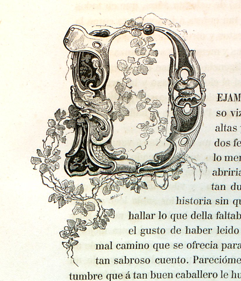 Letra D