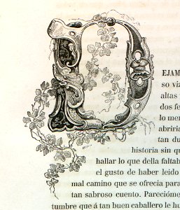 Letra D