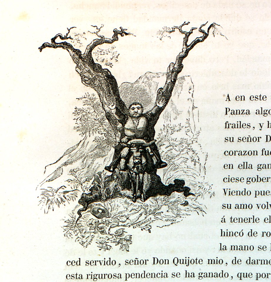 Letra Y