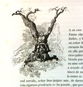 Letra Y
