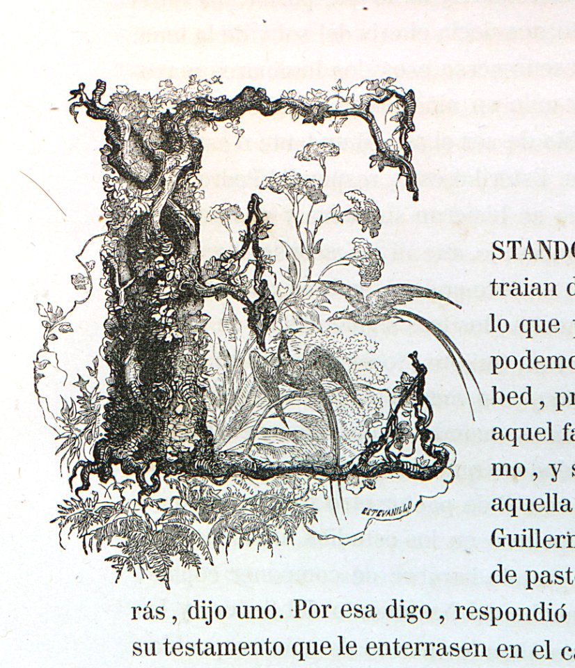 Letra E