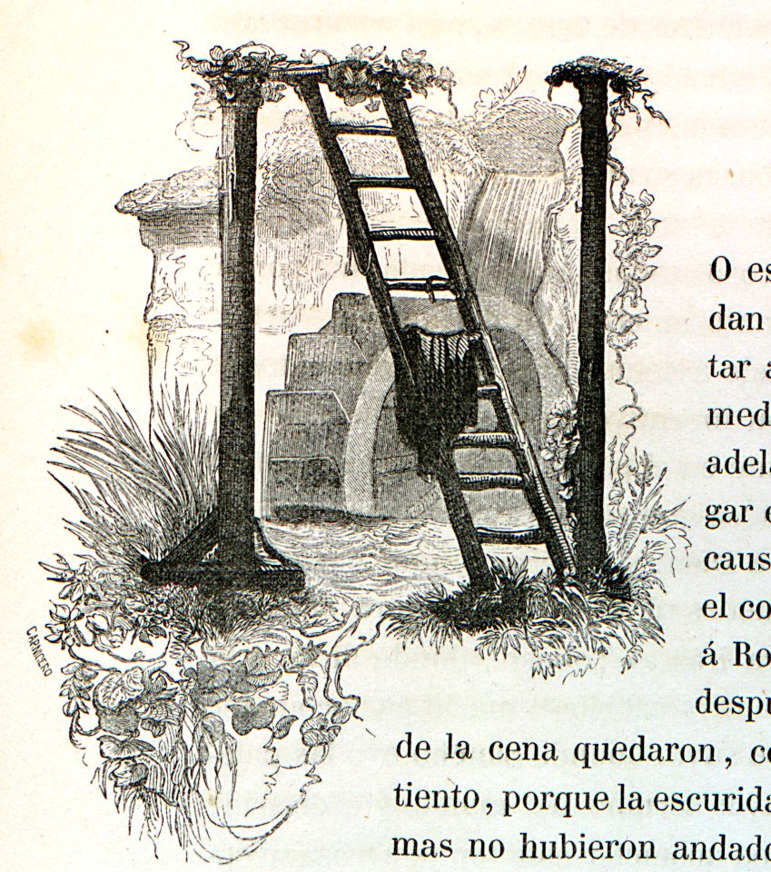 "Letra N"