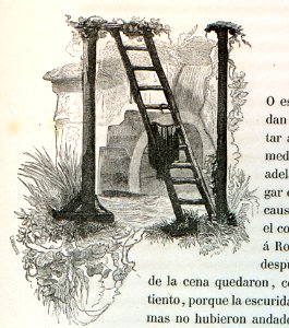 "Letra N"