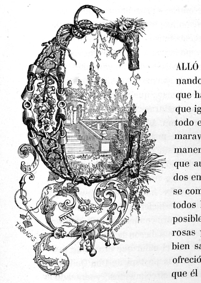 "Letra C"