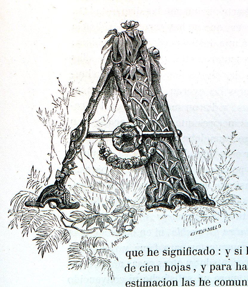 "Letra A"