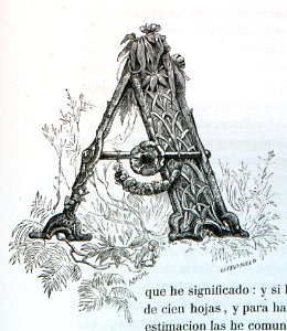 "Letra A"