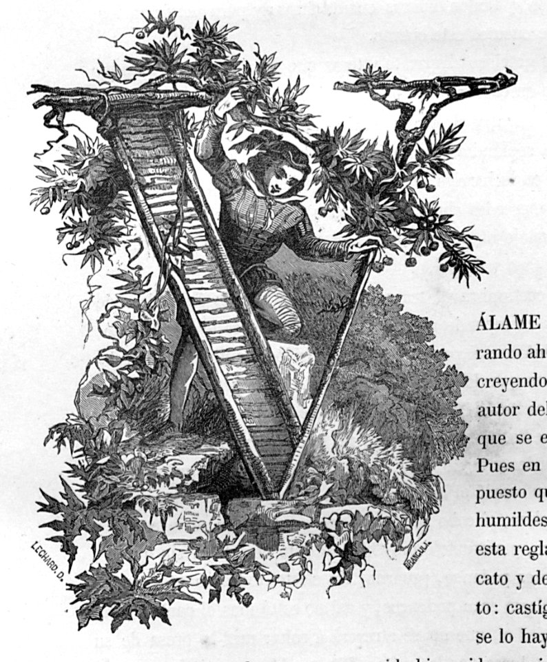 "Letra V"