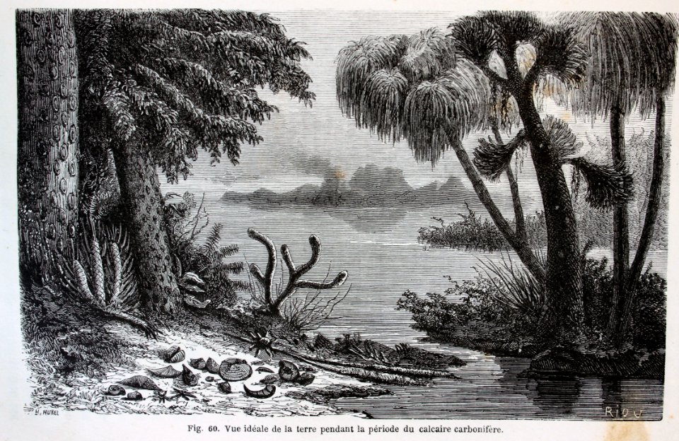 "Vue ideale de la terre pendant la période du calcaire car…
