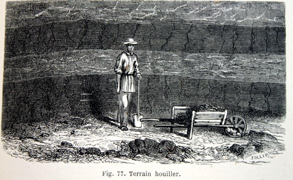 "Terrain houiller".