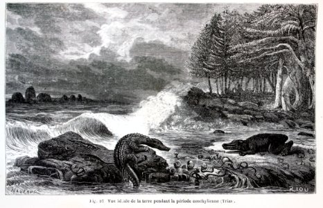 "Vue ideale de la terre pendant la période conchylienne".