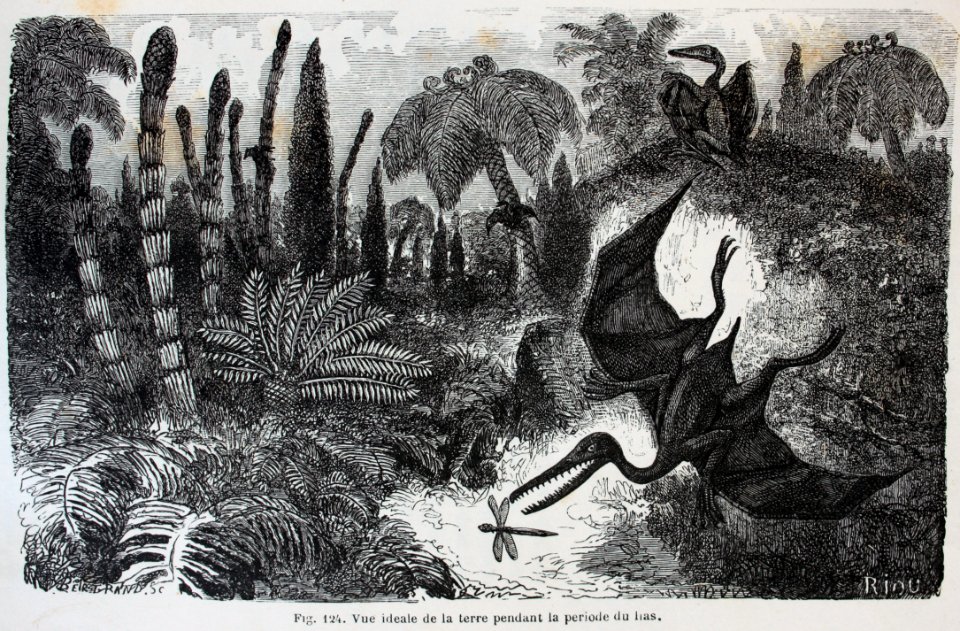 "Vue ideale de la terre pendant la periode du lias".