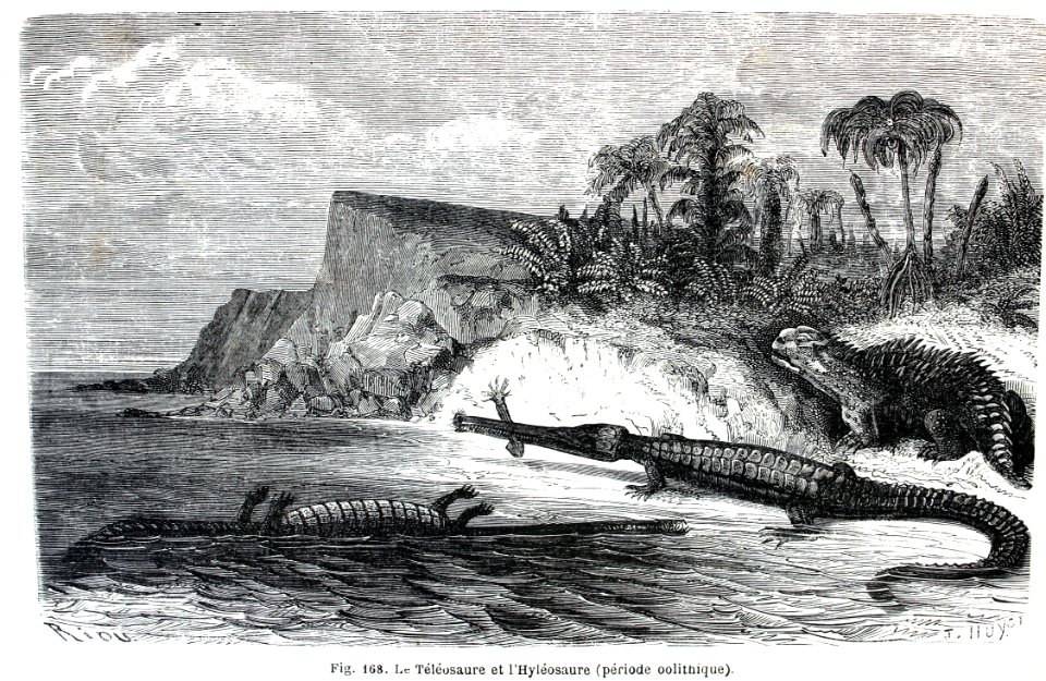 "Le Téléosaure et l'Hyléosaure".