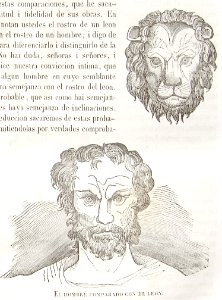 "El hombre comparado con el león". Free illustration for personal and commercial use.