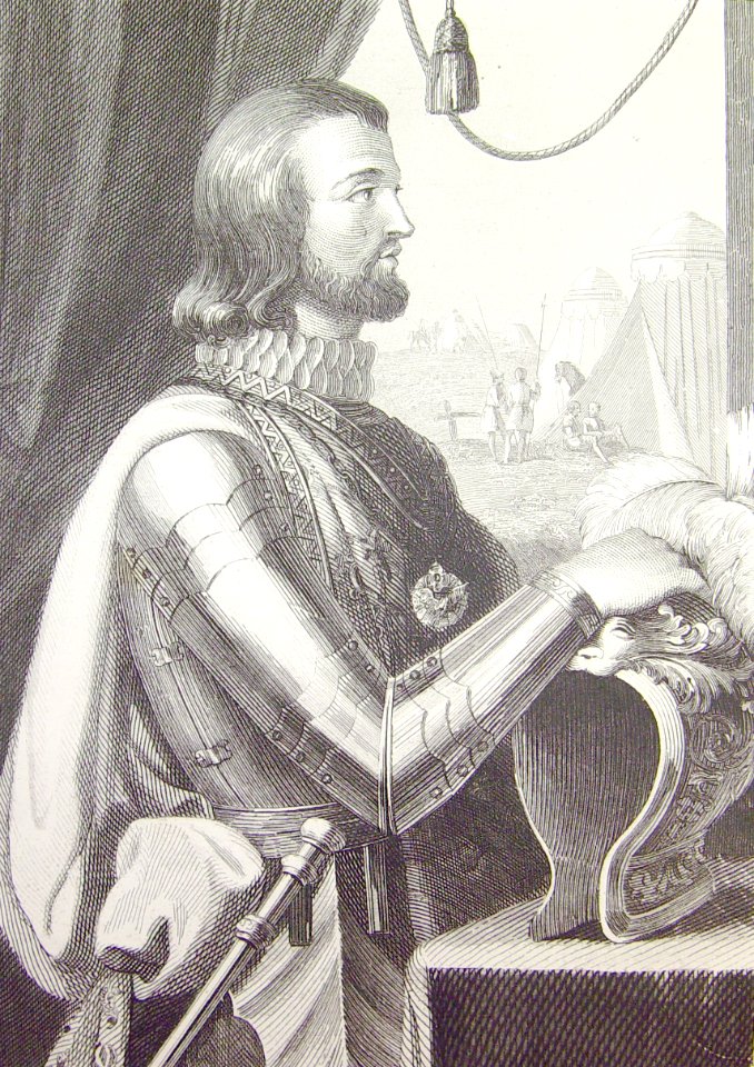 "D. Juan I rey de Castilla y León".