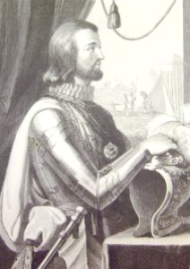 "D. Juan I rey de Castilla y León".