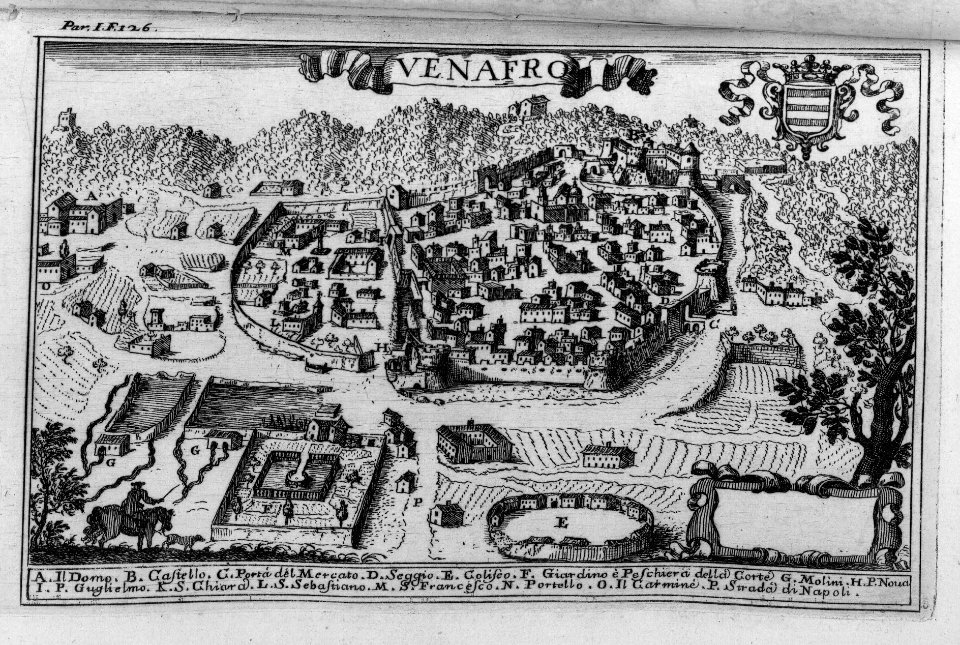 "Venafro"