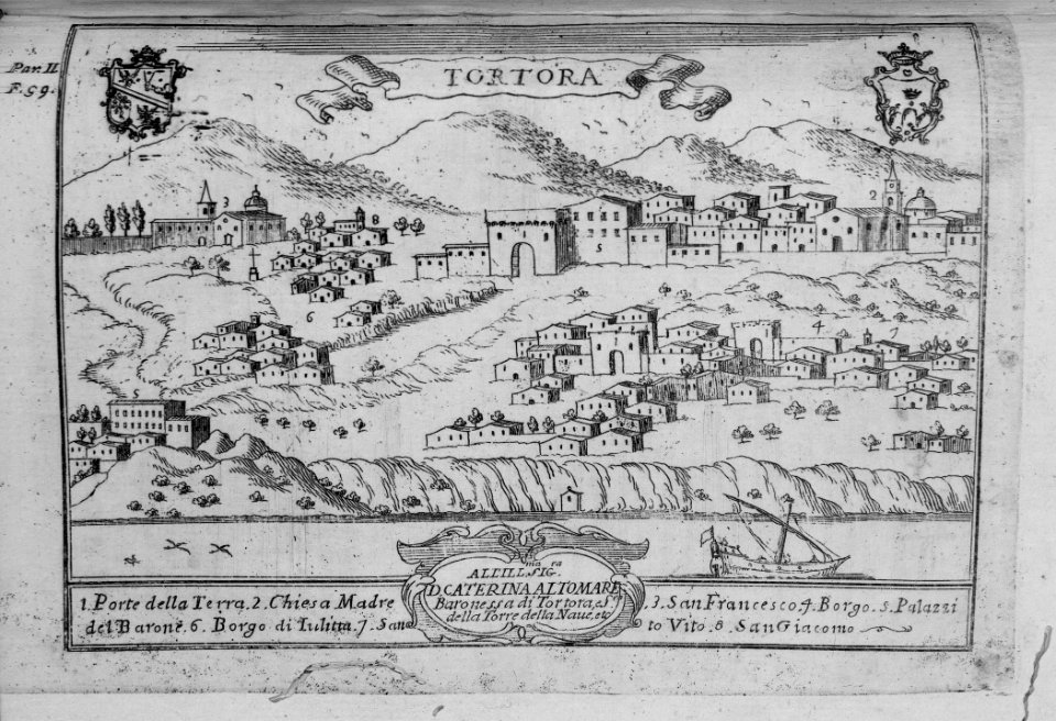 "Tortora"