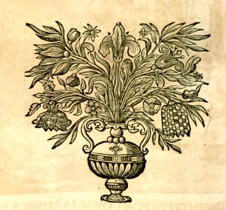 A177083_0061