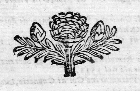 A014154_0008
