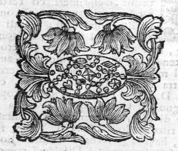 A014154_0050