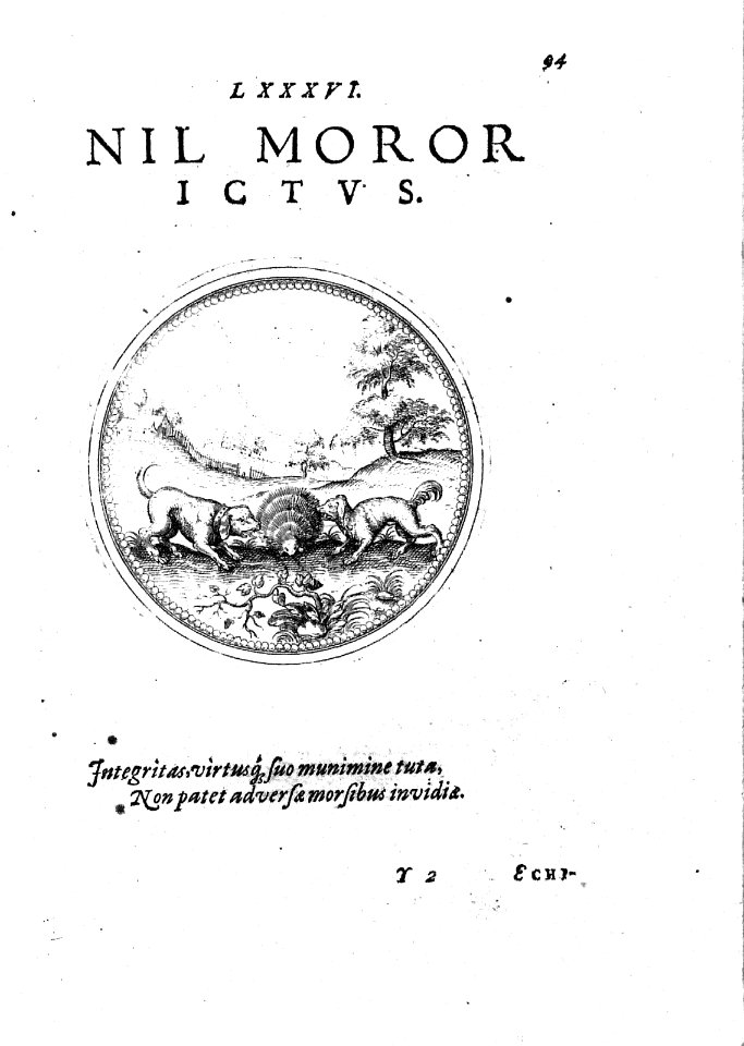 ARes125012_0186