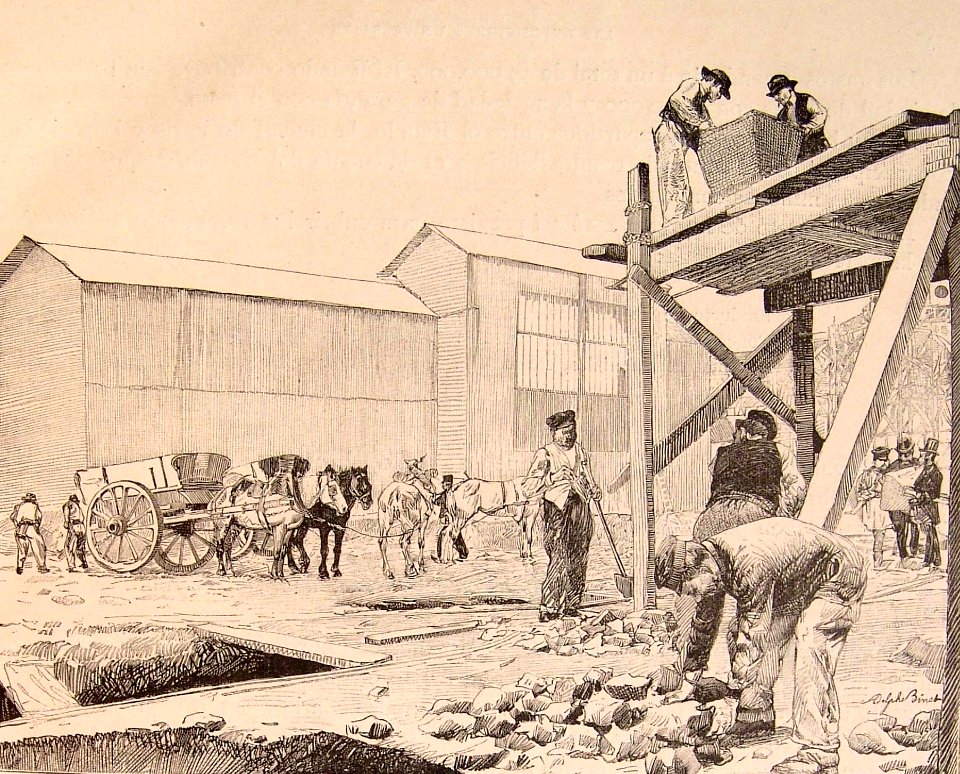 Construcción de Pabellones.