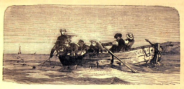 "Pêche de la morue à la ligne de fond".