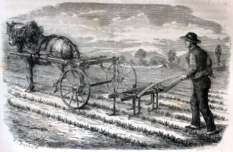 "Sarcleuse mécanique pour les champos de betterave".