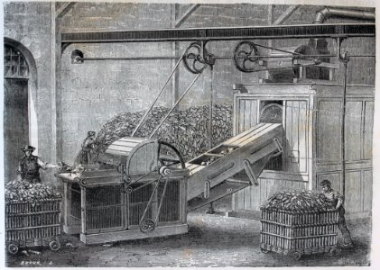 "Coupeuse mécanique des chiffons".