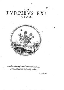 ARes125011_0126