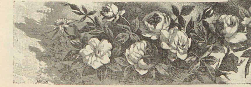 A044128_0094