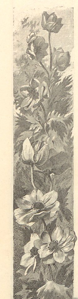 A044128_0115